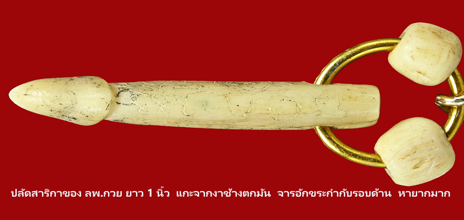 ปลัดสาริกา 1 นิ้ว -0-4.JPG