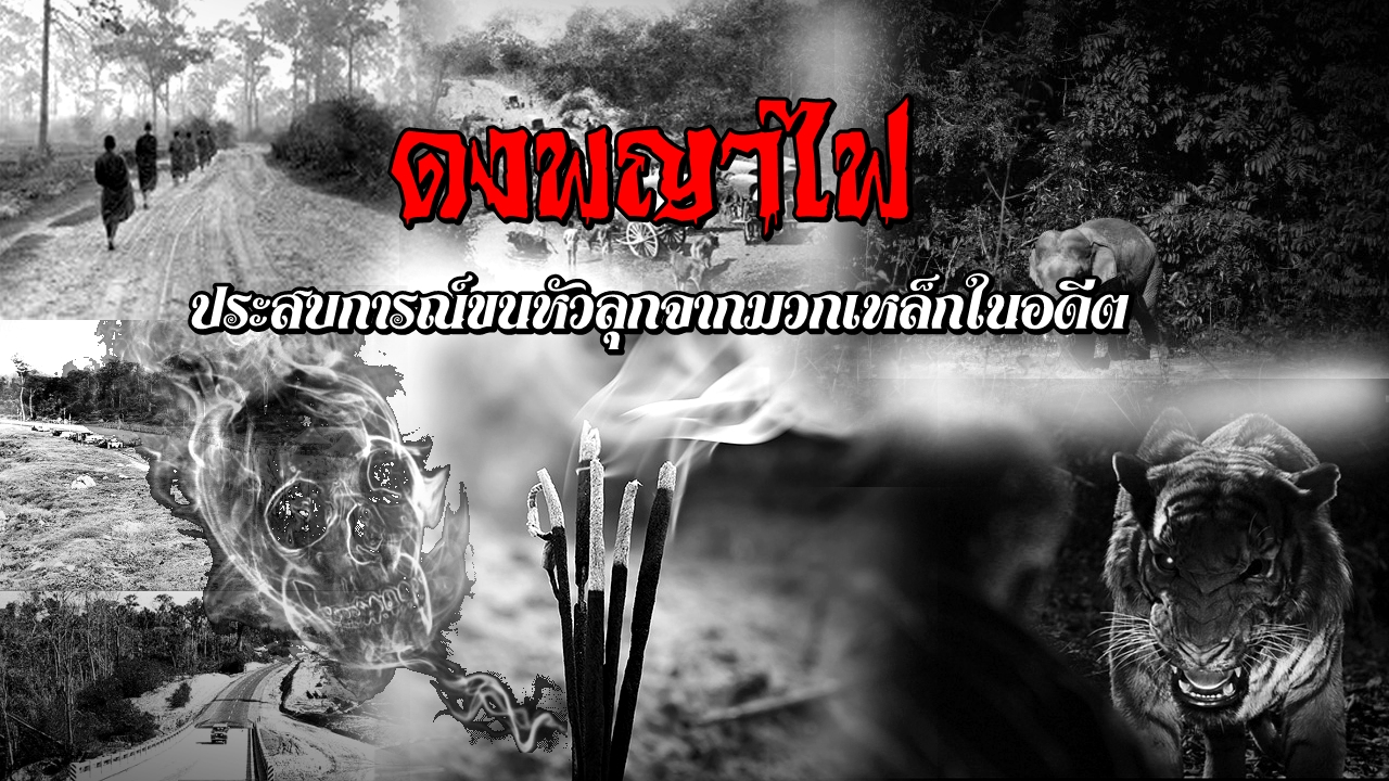 หลอน-1 พลังจิต.jpg