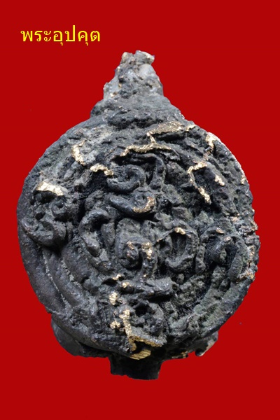 229978_0.jpg
