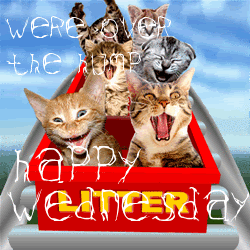 82425-We-Are-Over-The-Hump-Happy-Wednesday-.gif