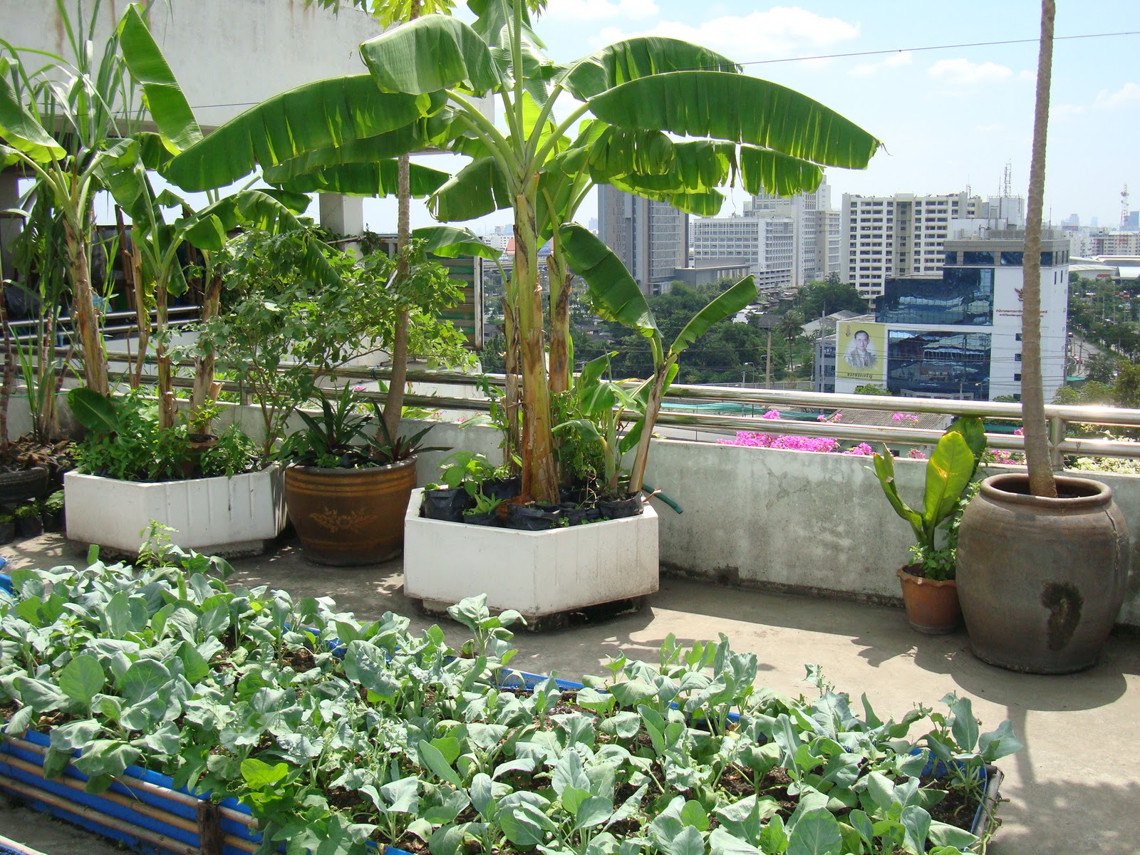 garden-rooftop.jpg