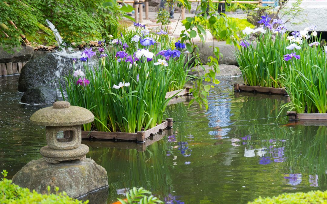 How-To-Create-A-Zen-Garden-In-The-British-Climate-1080x675.jpeg