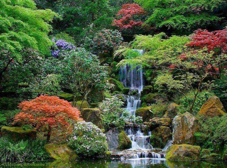 japanese-tranquility-garden-25-trending-portland-japanese-garden-ideas-on-pinterest.jpg