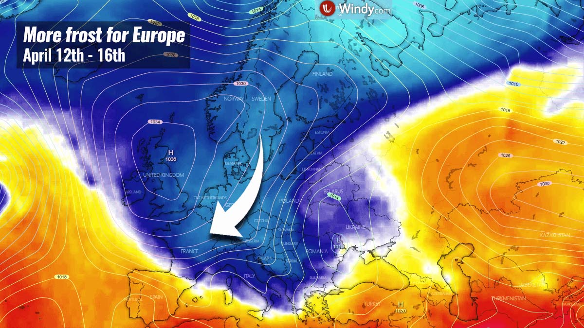 new-cold-wave-europe-snow-frost-damage.jpg